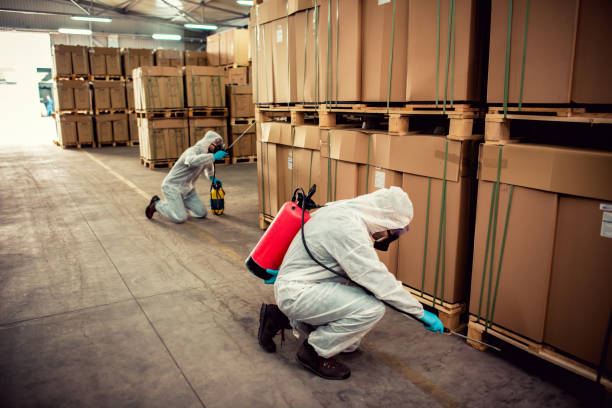 Best Ant Control Services  in Fordoche, LA