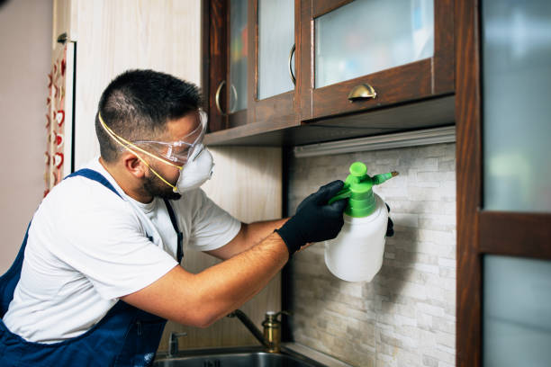 Best Best Pest Control Companies  in Fordoche, LA
