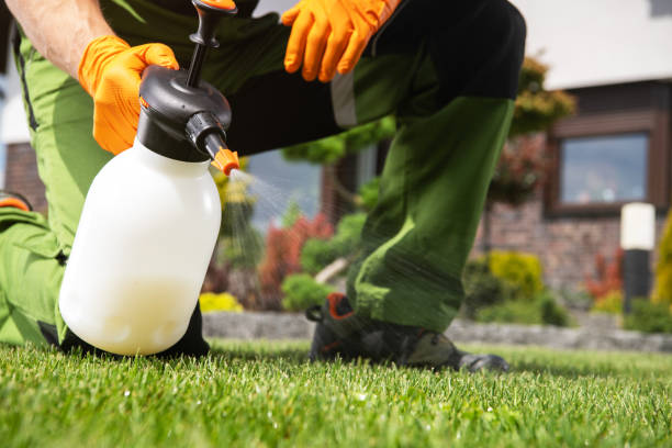 Wildlife Control Services in Fordoche, LA