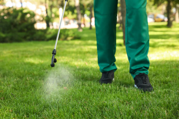 Best Flea Control Services  in Fordoche, LA