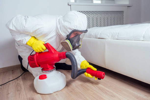 Trusted Fordoche, LA Pest Control Experts
