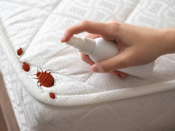 Best Flea Control Services  in Fordoche, LA