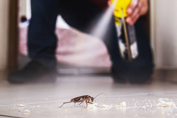 Best Pest Control for Homes  in Fordoche, LA