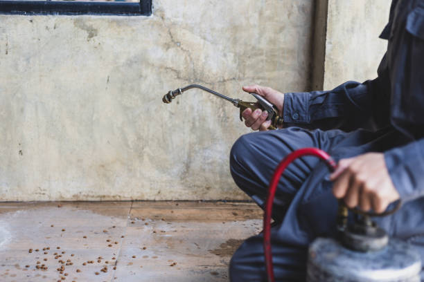 Best Best Pest Control Companies  in Fordoche, LA