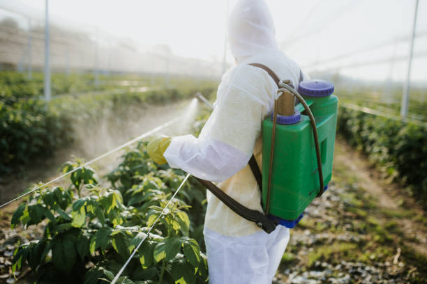 Best Bed Bug Extermination  in Fordoche, LA